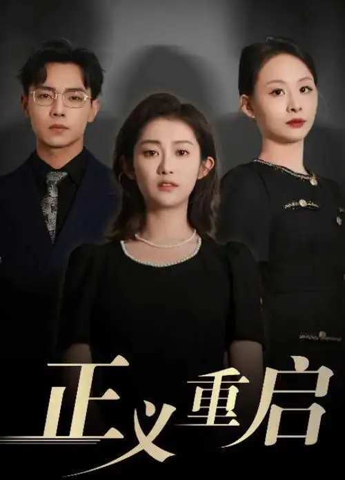 沉默的真相电视剧海报